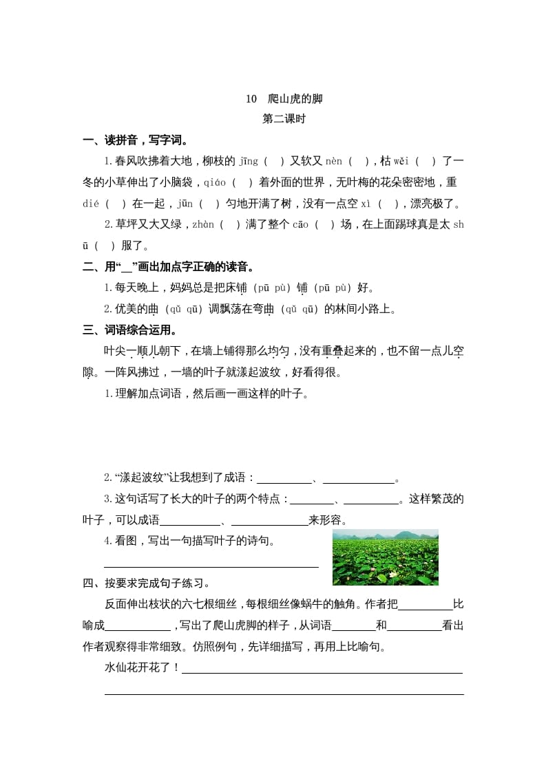 图片[3]-四年级语文上册10爬山虎的脚-淘课榜
