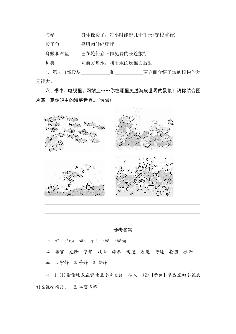 图片[3]-三年级语文下册23海底世界-淘课榜