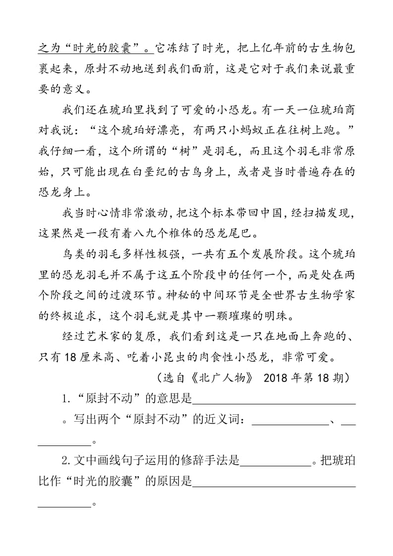 图片[3]-四年级语文下册类文阅读-5琥珀-淘课榜