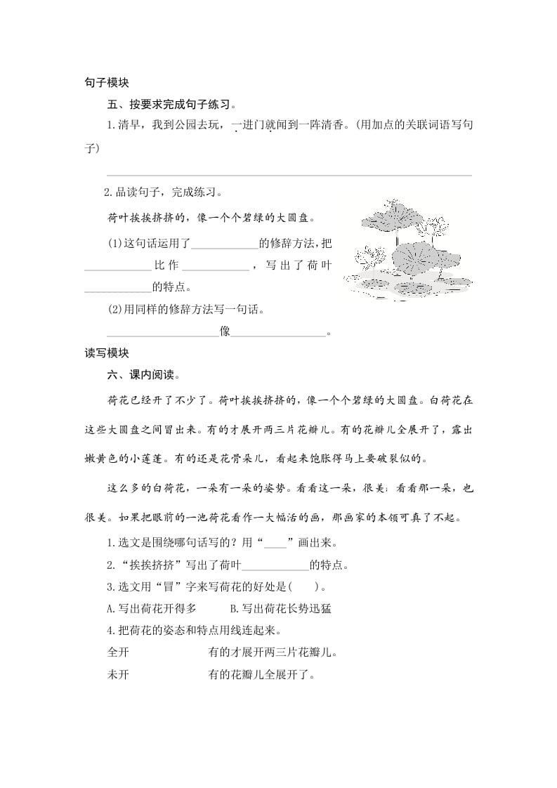 图片[2]-三年级语文下册3荷花-淘课榜