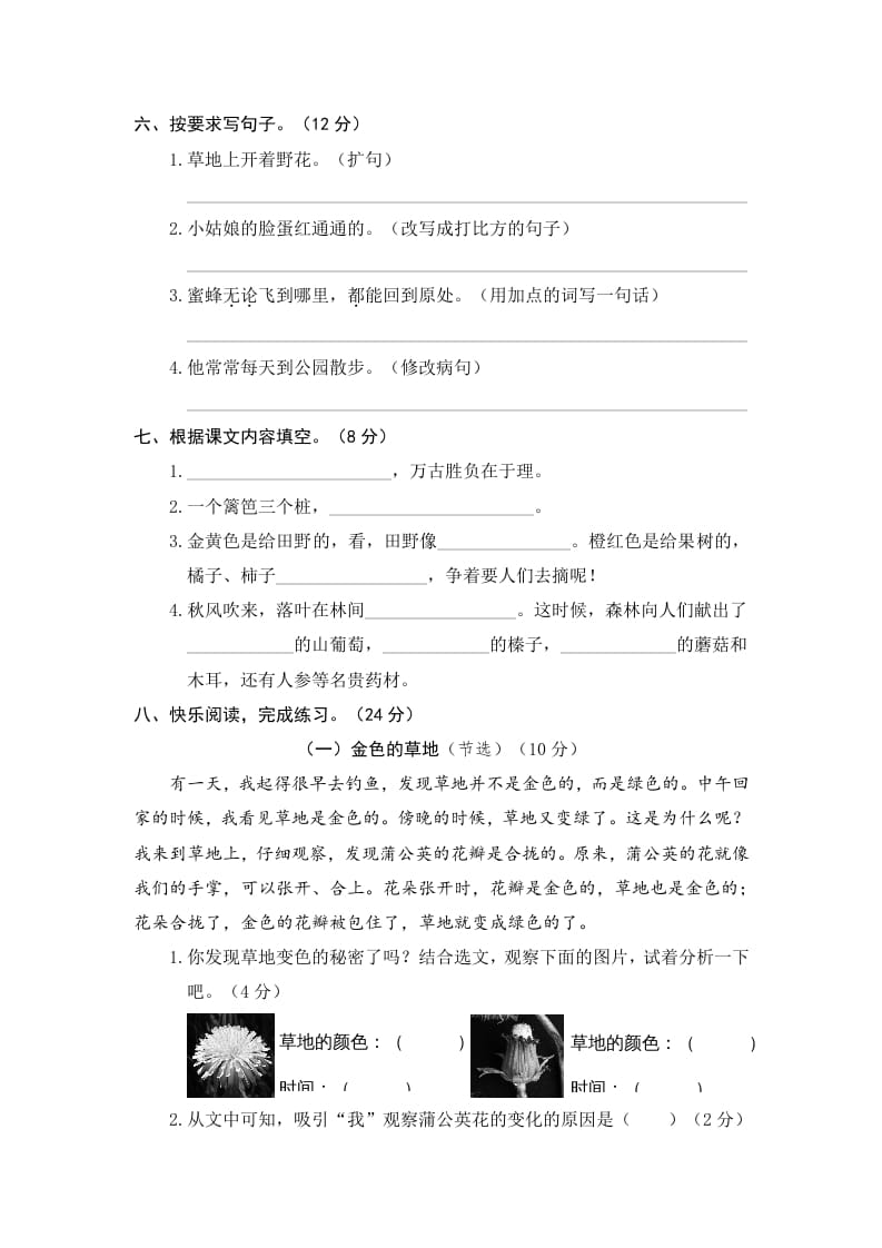 图片[2]-三年级语文上册期末练习(11)（部编版）-淘课榜