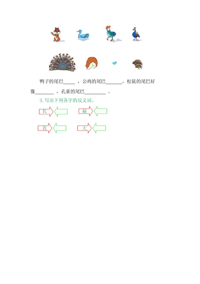 图片[2]-二年级语文上册6比尾巴（部编）-淘课榜