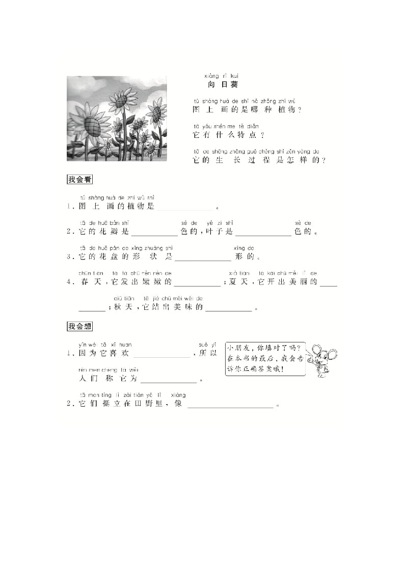 图片[2]-二年级语文上册（跟我学写话）写物（5篇）（部编）-淘课榜
